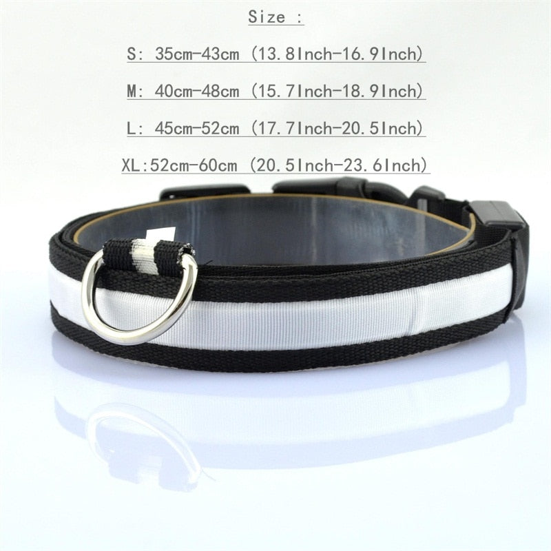 Pet Dog Collar LED