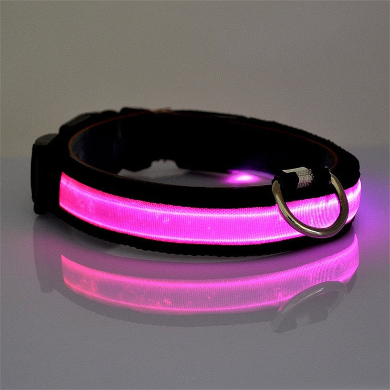 Pet Dog Collar LED