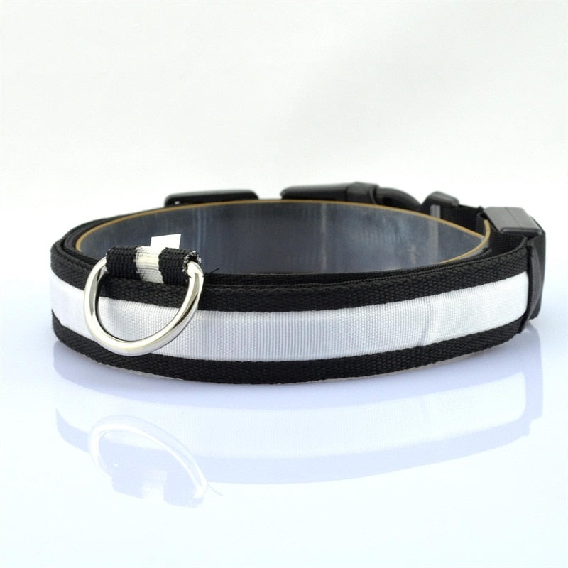 Pet Dog Collar LED