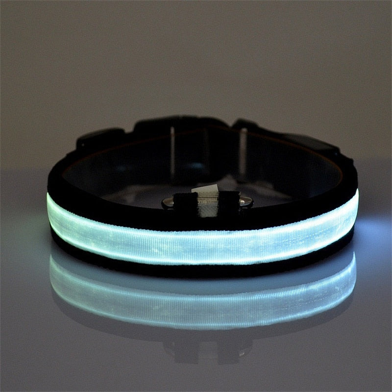 Pet Dog Collar LED