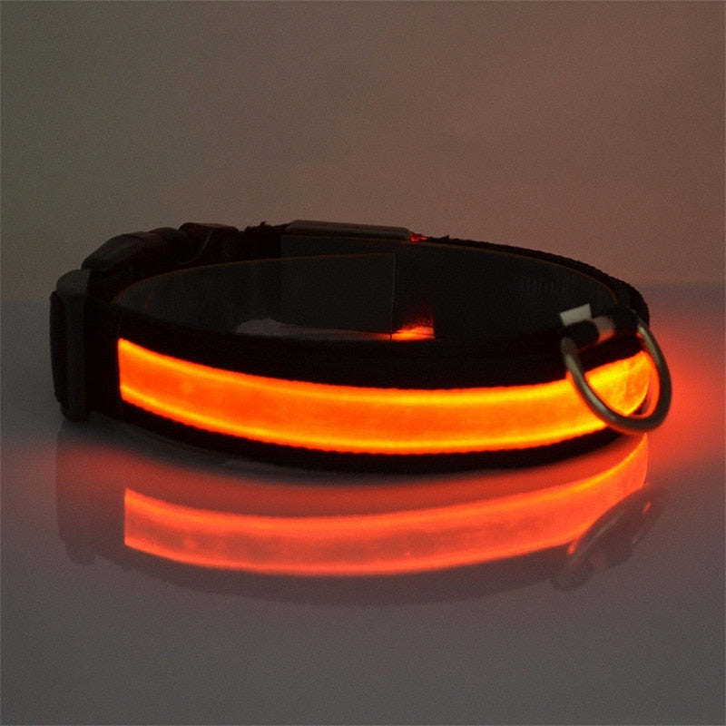 Pet Dog Collar LED