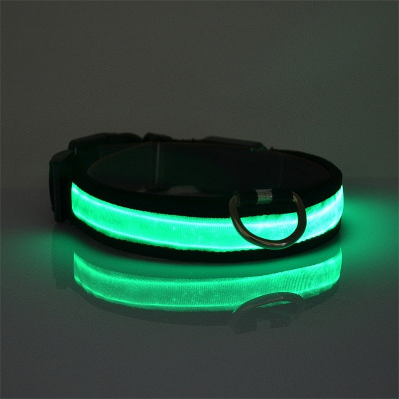 Pet Dog Collar LED