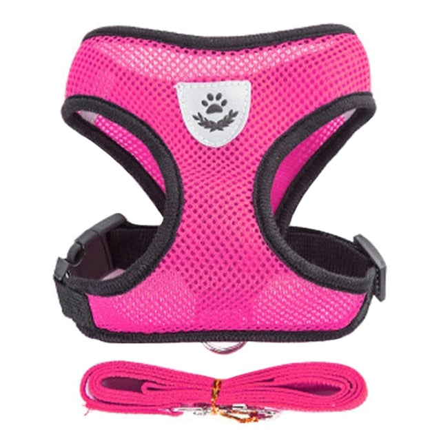 Bond & co cat harness best sale