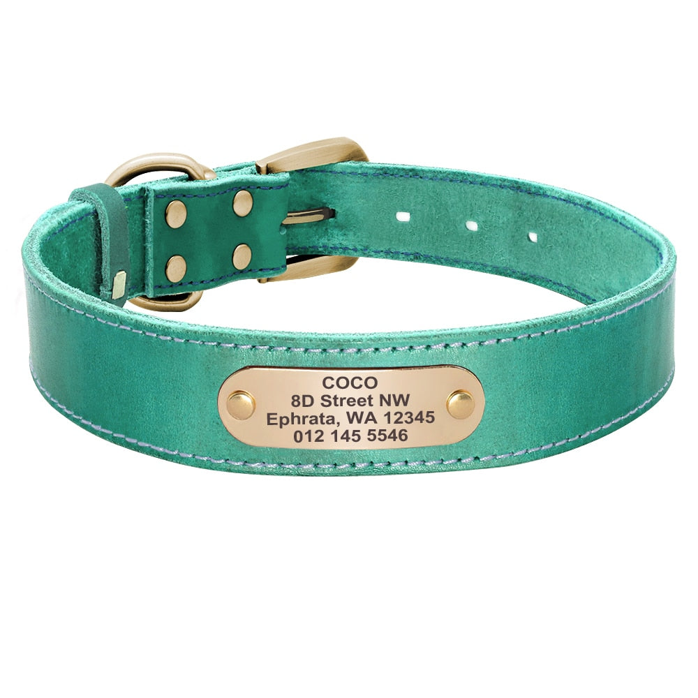 Custom Leather Dog Collar Leash Set