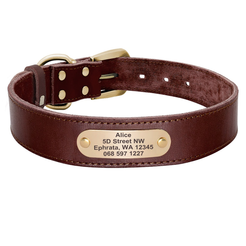 Custom Leather Dog Collar Leash Set