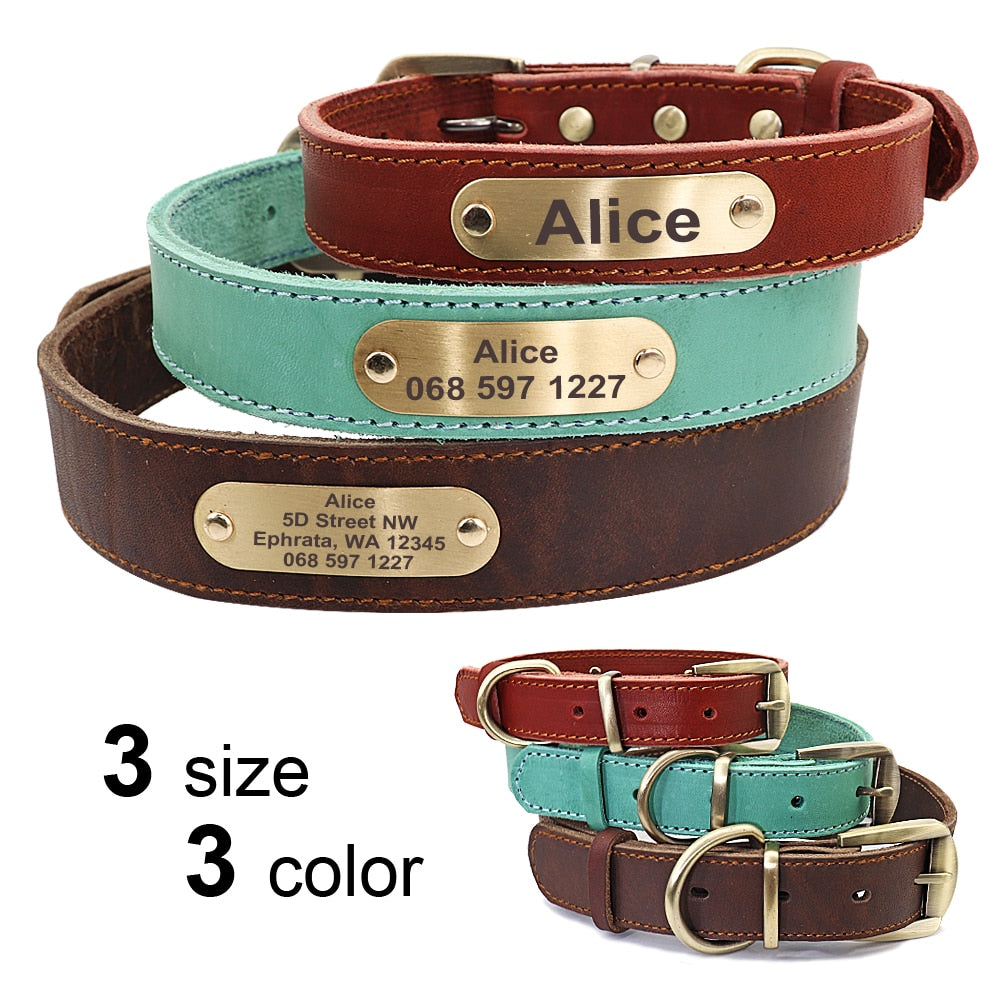 Custom Leather Dog Collar Leash Set