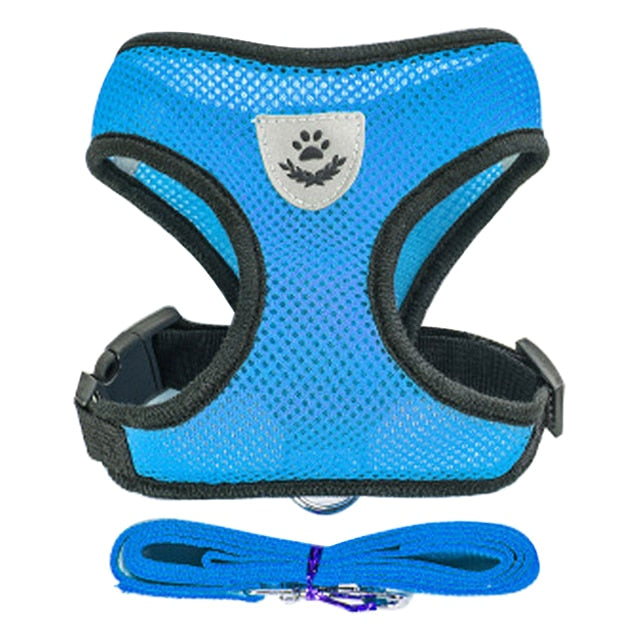 Cat/Dog Harness Leash Set