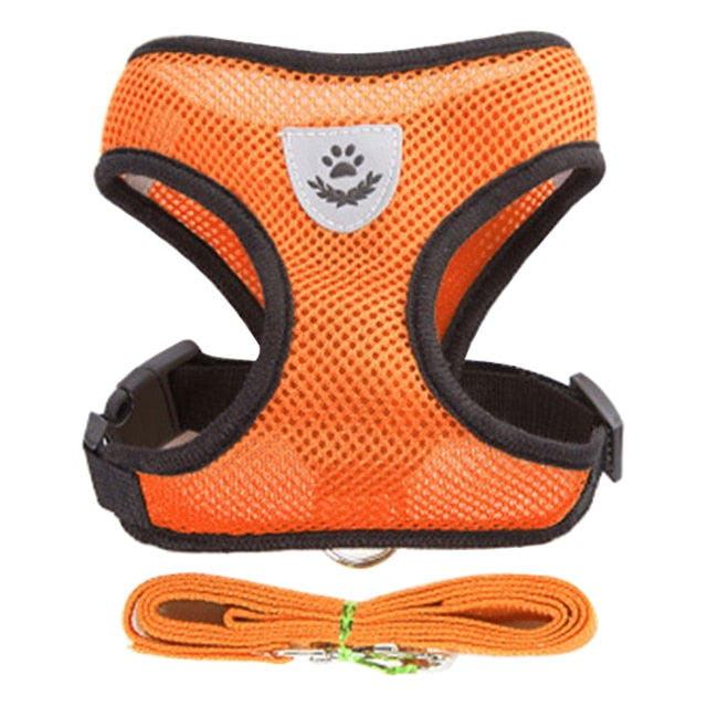 Cat/Dog Harness Leash Set