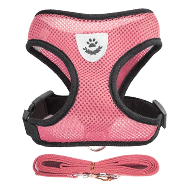 Cat/Dog Harness Leash Set