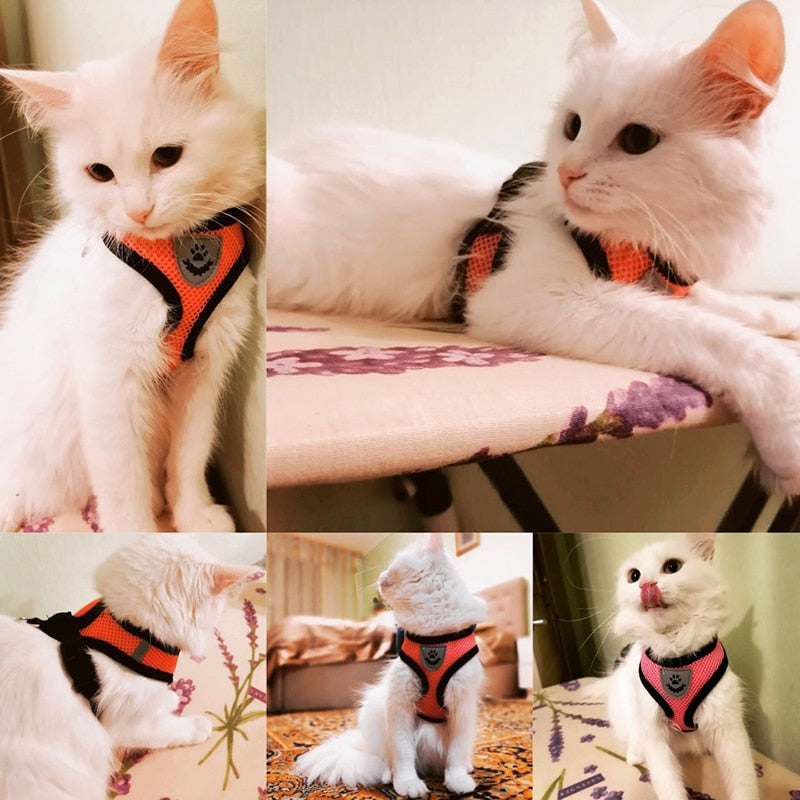 Cat/Dog Harness Leash Set