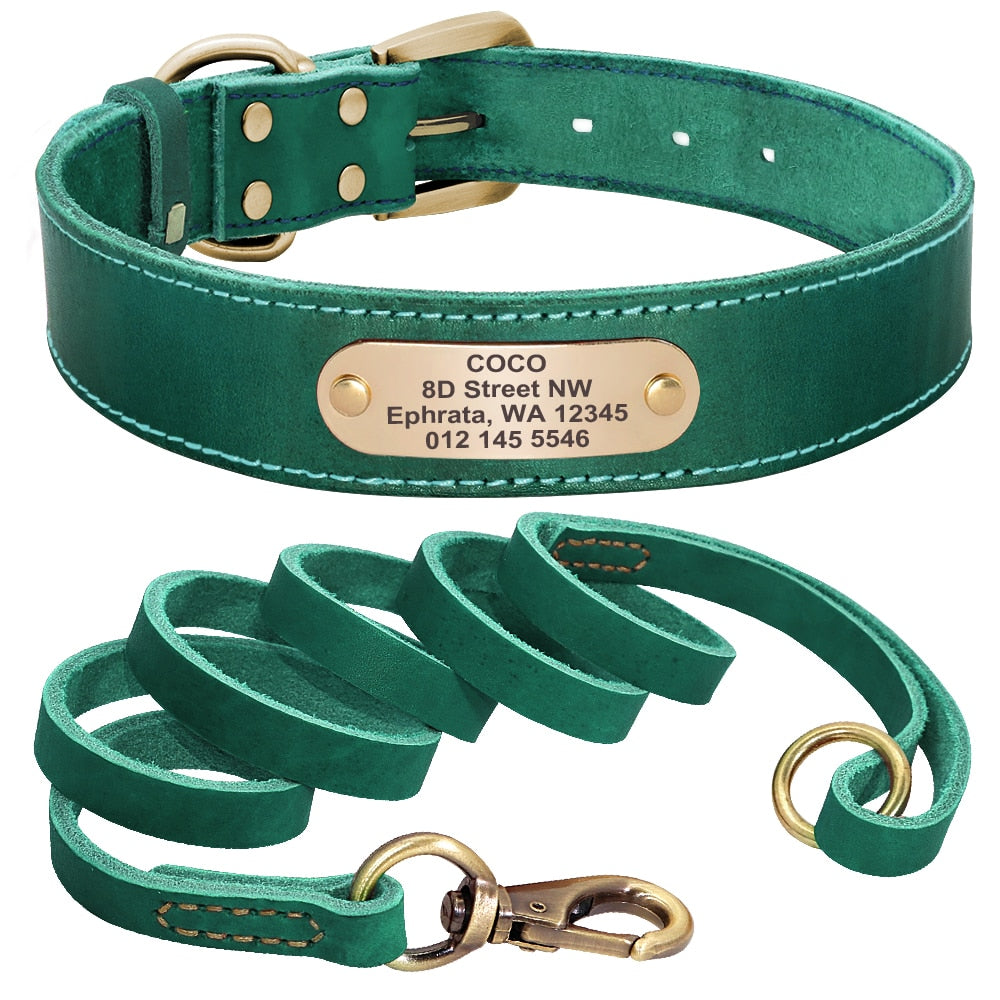 Custom Leather Dog Collar Leash Set