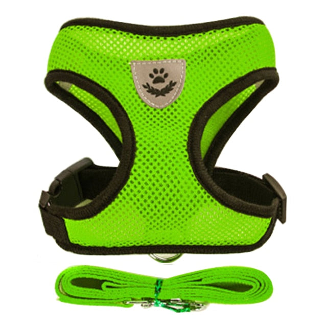 Cat/Dog Harness Leash Set