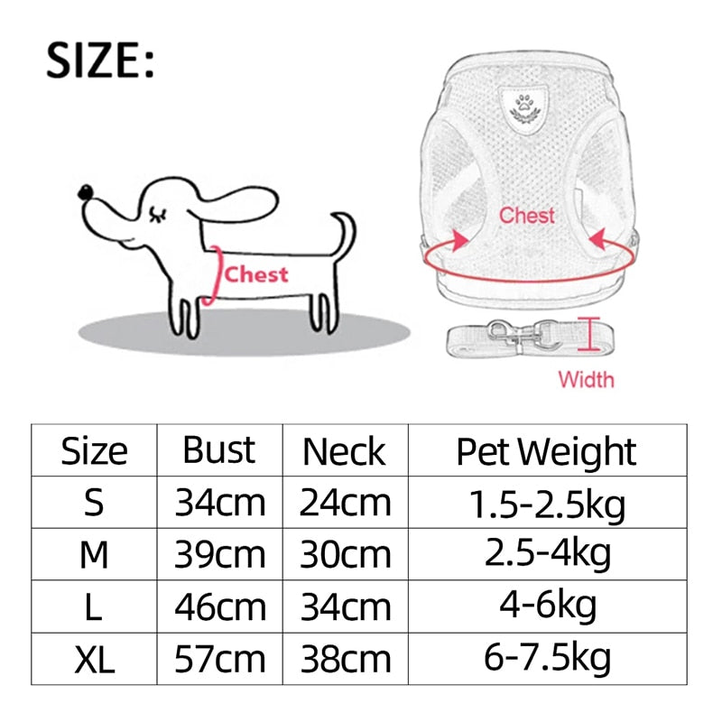 Cat/Dog Harness Leash Set