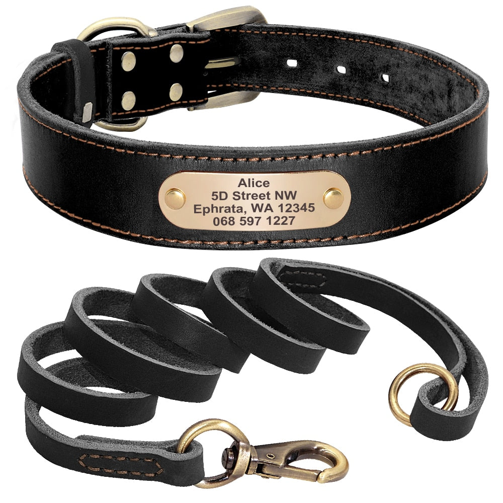 Custom Leather Dog Collar Leash Set