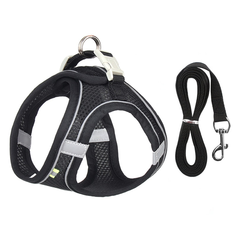 Dog Harness Leash Set