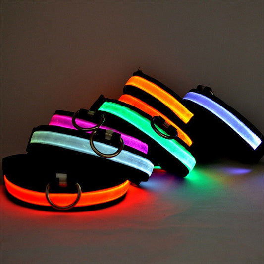 Pet Dog Collar LED